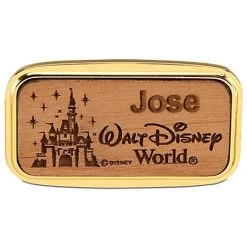 Disney Magnet - Walt Disney World Castle - By Arribas