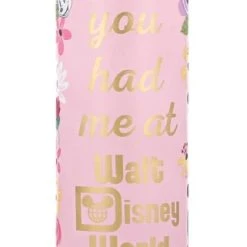 Disney Water Bottle - You Had Me At Walt Disney World