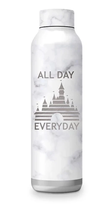 Disney Water Bottle - Fantasyland Castle - Stainless Steel 1 Disney Water Bottle - Fantasyland Castle - Stainless Steel